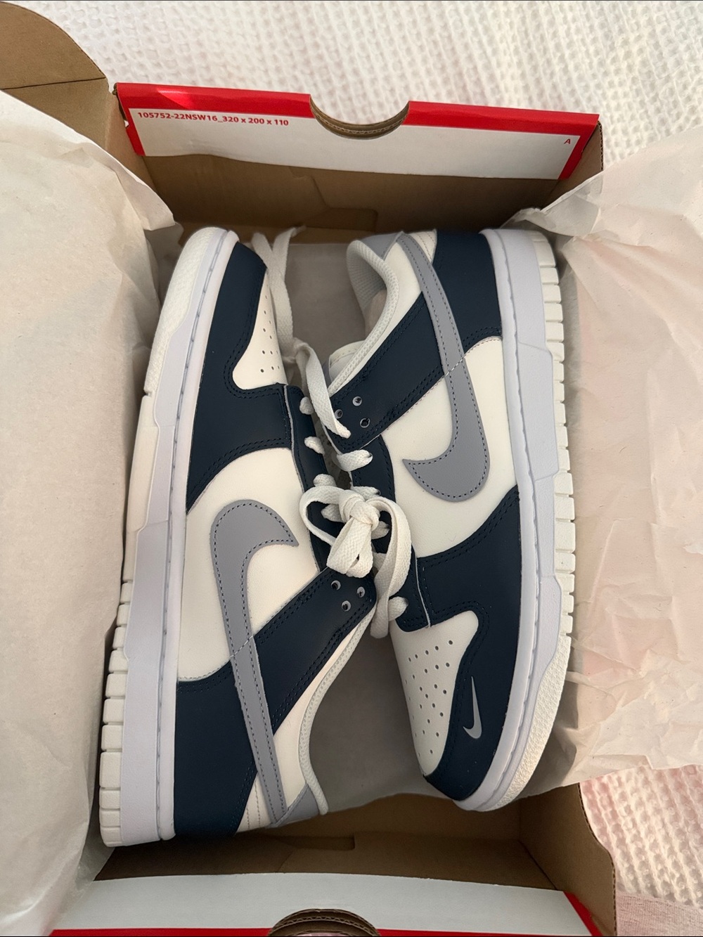 NWT Nike Dunks